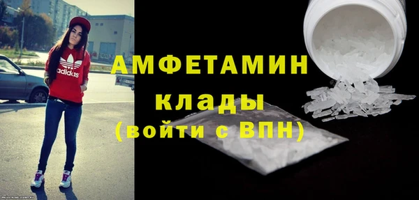 ГАЛЛЮЦИНОГЕННЫЕ ГРИБЫ Аркадак