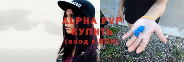 ГАЛЛЮЦИНОГЕННЫЕ ГРИБЫ Аркадак