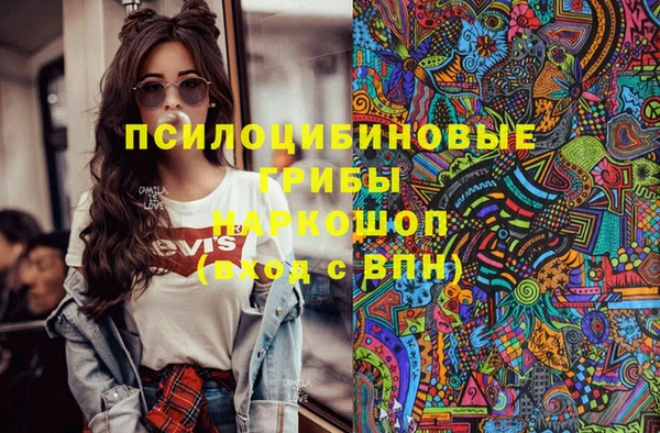 гидра Армянск