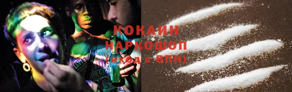 ГАЛЛЮЦИНОГЕННЫЕ ГРИБЫ Аркадак