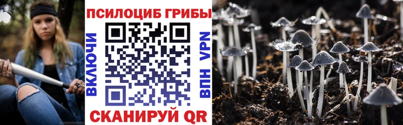 наркота  Советск  Псилоцибиновые грибы Magic Shrooms 